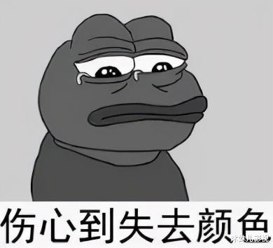 司马懿|离婚女主持的终极大瓜来了