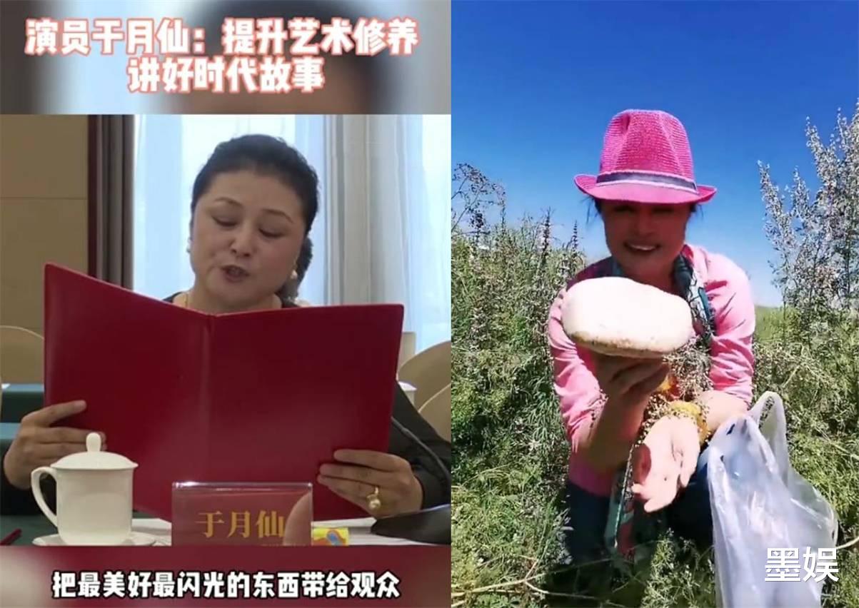 于月仙|因车撞骆驼，于月仙不幸遇难，这些因车祸去世的明星各有缘由