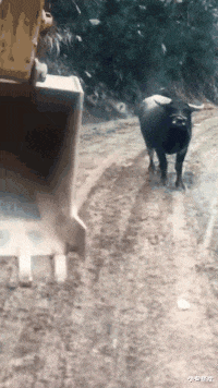 |搞笑GIF：100万一次，100万两次，好的后面大哥出500万，成交咣当...