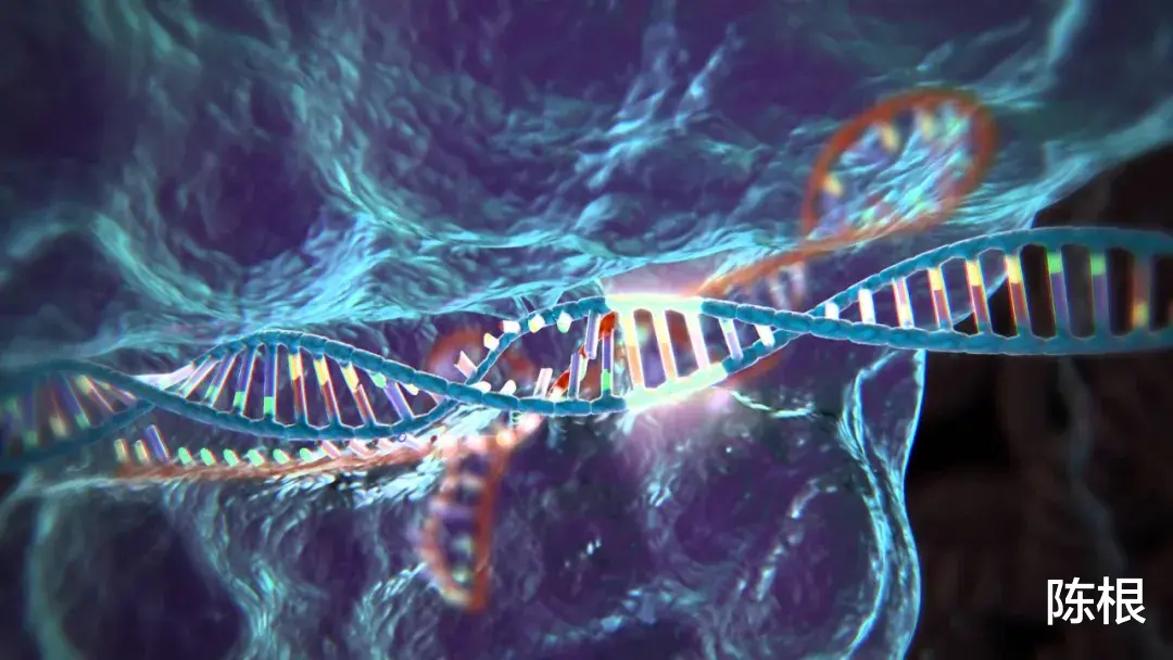 外星人 陈根：从“内部进化”到“外部进化”，人类进化在转向？