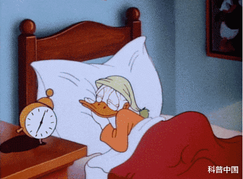 睡眠|又被\吓\醒的一天！设多个闹钟对身体有害？这个习惯快改