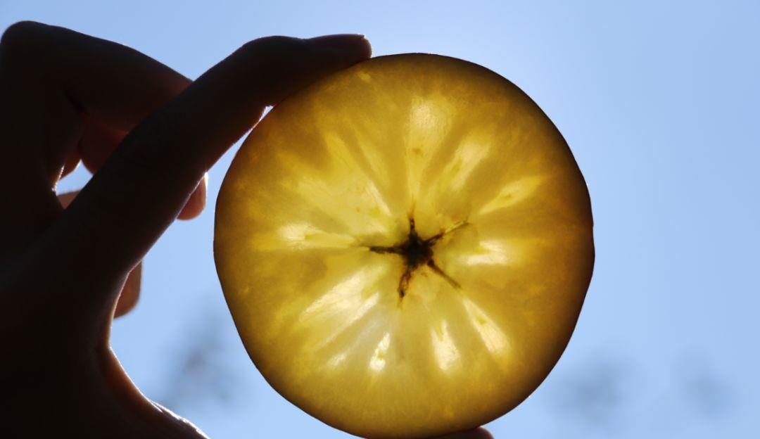 糖尿病|建议:不管有钱没钱,8月别错过这五种水果,营养美味身体棒