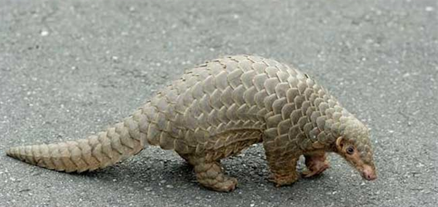 霍金 2021年灾难环生，沙漠发大水，大湖干涸，霍金预言真要实现了吗？