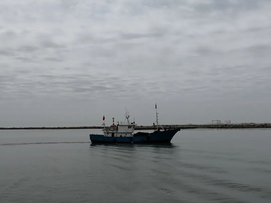 海阳融媒 特别关注！这些地方再不整改，就要被强制清理了！
