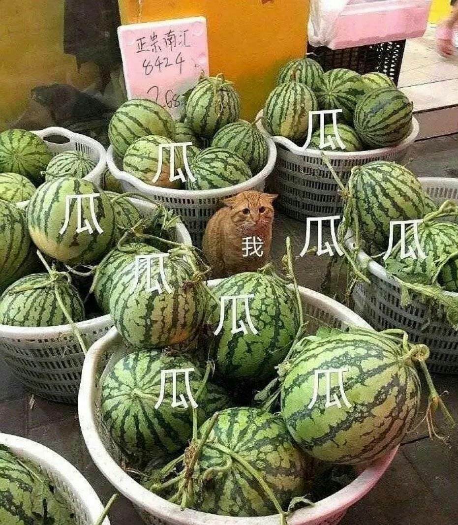 王者荣耀|代言人有多重要？王者荣耀被吴亦凡坑惨，玩家：啥时候出改名卡？