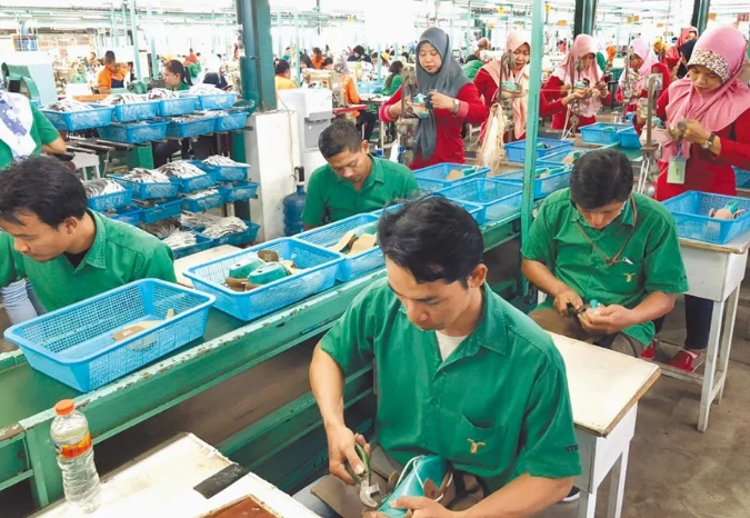 环球鞋网|半年净利2亿的九兴鞋业将继续投资印尼