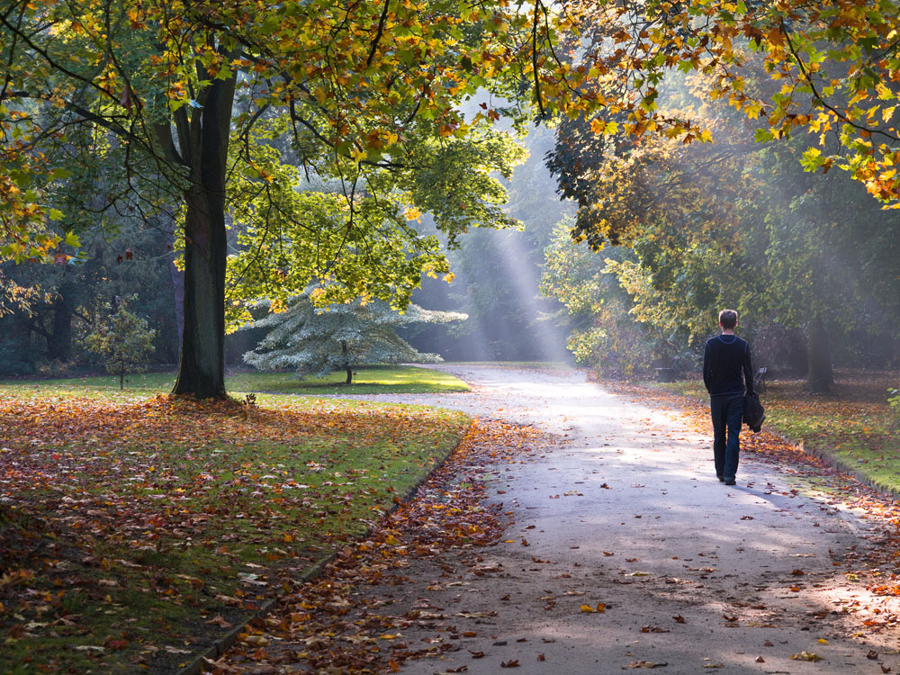 长寿|上了年纪浑身疼？医生：3种素菜比可乐还伤骨，再爱吃也要少碰