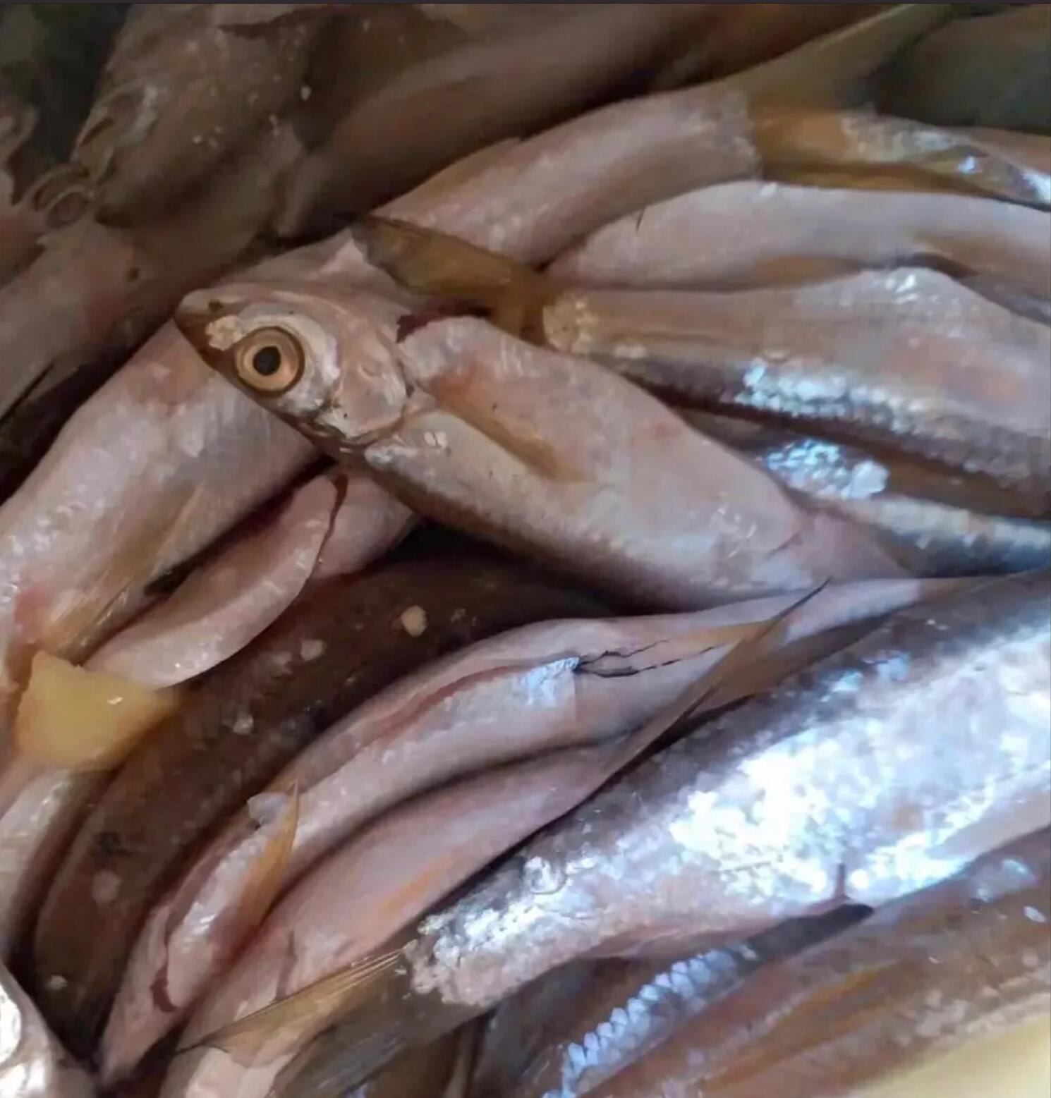 |真的要崩溃了，想不明白为什么男人那么喜欢钓鱼？