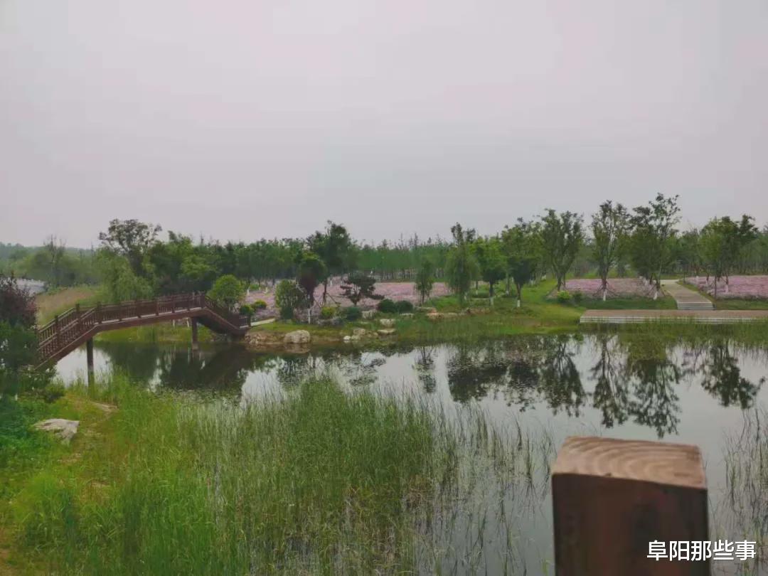 阜阳那些事 实拍！阜阳新建一处大型国家公园！看看在哪？