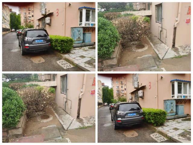 中国山东网 青岛市北区浮山新区街道开启城区“美颜”常态化模式