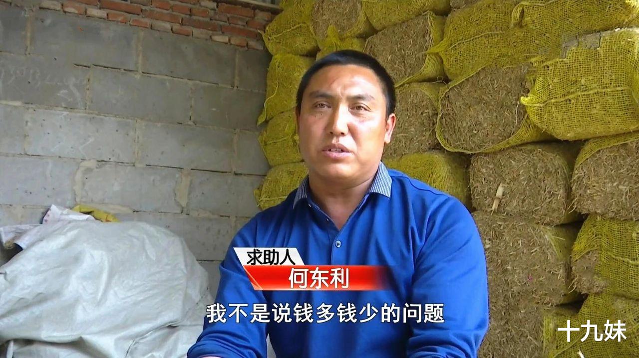 十九妹 牛草料里全是石块，厂家竟给出这样的解决方案，养殖户委屈大哭