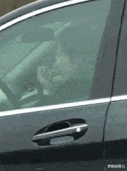 学姐说育儿|神回复：乔杉如果在洗脚城被抓，会退出演艺圈吗？神评笑死人