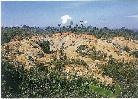 翡翠|翡翠原石详解-----摩西砂(图文)