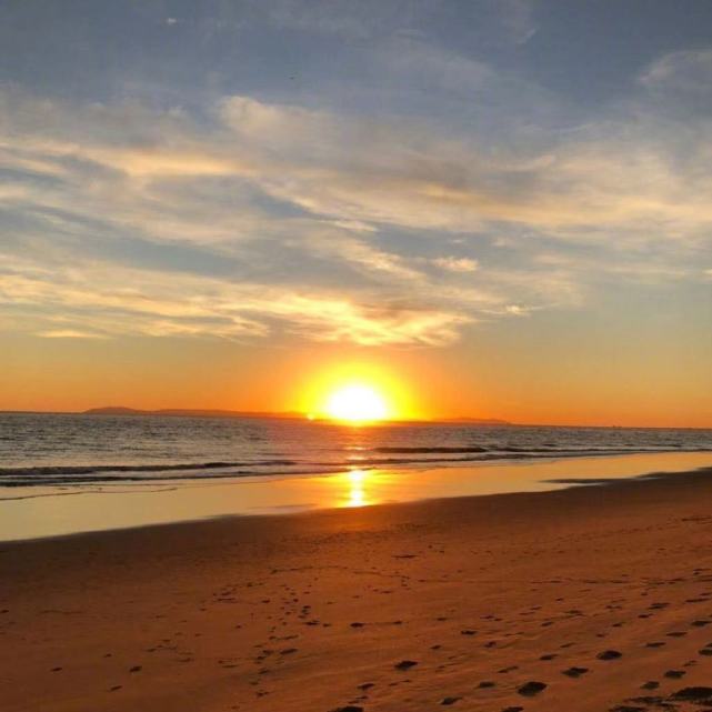 迪丽热巴|郑爽深夜上线特意为自己跟工作室换头像，每一张头像照都隐含深意