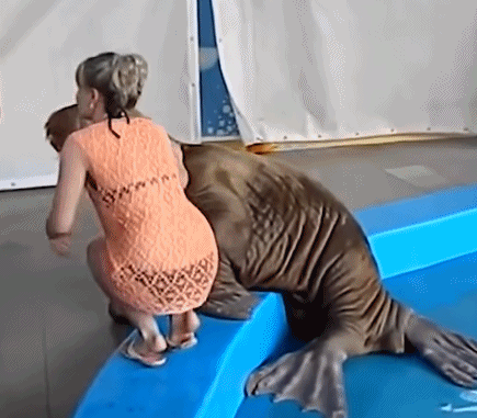 萌萌萌说|“追了一年的女友在我家洗完澡后，我陷入了沉思...”放弃吧哥们