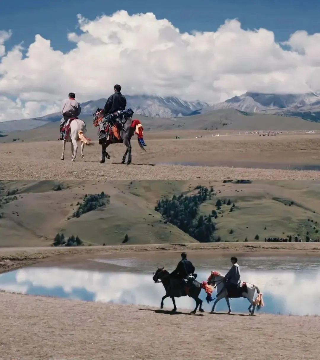 张基龙|谢霆锋和丁真,分不开了