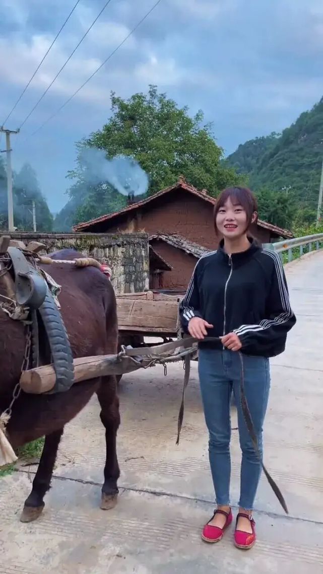 云南女子驾马车收玉米走红网络 拉风画面实属罕见广获点赞