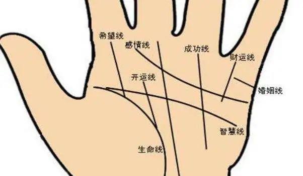 “一罗穷,二罗富”,科学家破译指纹之谜,冤了手相师?全面了解