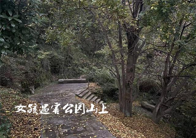 知情人透露:湖北晨跑女孩遇害前曾发出疑似求救信号,可惜未重视