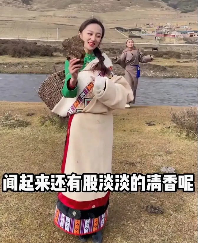 一个直男的生活杂谈 捡牛粪的藏族女孩你喜欢吗？
