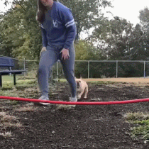 湖州|“钓鱼的时候飞到我手上的，第一次见，谁知道这个是什么？”哇哈哈哈～