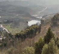 日本天皇|“日本天皇女儿照片流露出来，被网友笑坏了”