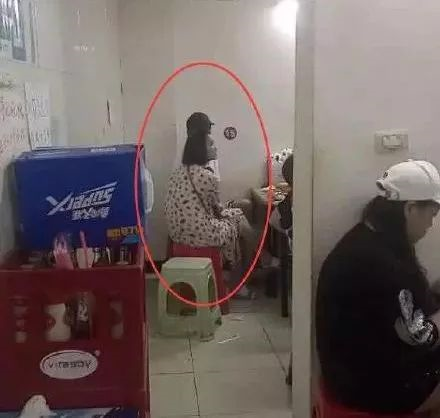 刘德华|郎朗老婆吉娜产后复出，遭网友群嘲：你生完孩子的样子，真丑！