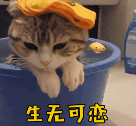 树艺蛙APP|四川一位妈妈和儿子制定一条约，条约内容“暑假不要喊妈”