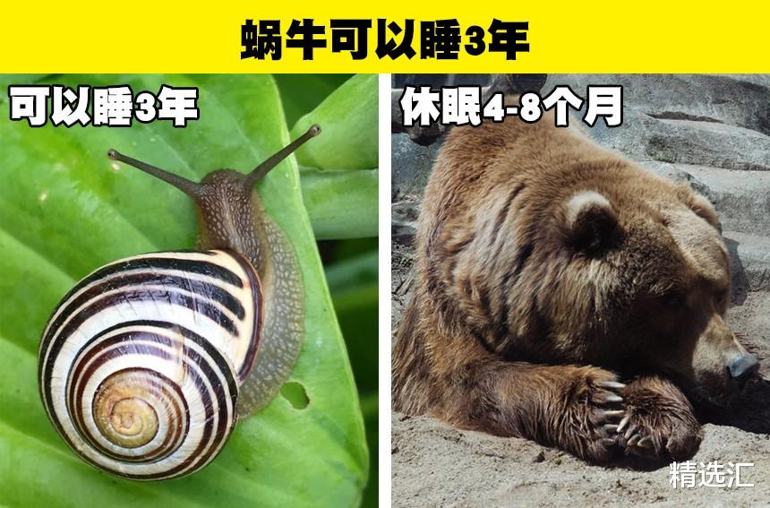 科学冷知识:你可能没有在生物课上学过的9个有趣事实