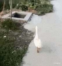 时尚炫点 假如你有一个复活的名额，你会选择让谁回来呢！