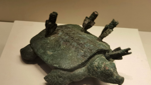 小小星座解说屋|老人钓到一只“乌龟”，背后插着4支箭，经鉴定：这一杆价值18亿