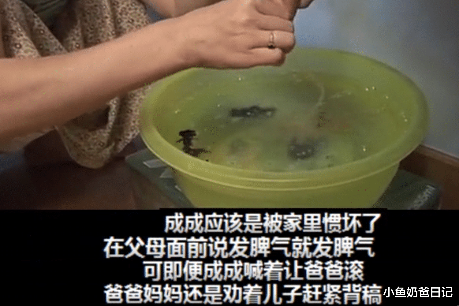 小鱼奶爸日记|三个孩子竞选班长,演变成宫心计,家长们的卷入揭露原生家庭影响