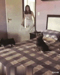 |“韩国人用这东西干嘛呢？居然还有的卖？”真是搞不懂！哇哈哈哈哈～