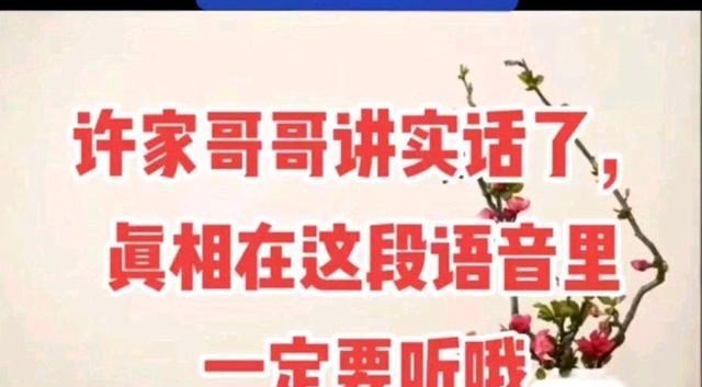 范上官|清秋爆料金果儿言论,疑许家对案情有了新进展,新情况不便于公布
