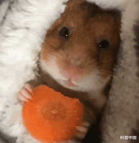 肾结石|为啥明明不饿，却总忍不住想吃东西？答案没你想的那么简单