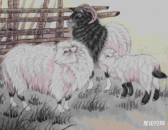 汉福德|生肖羊、兔、马，11月第三周运势回暖，贵人当前，生财在即