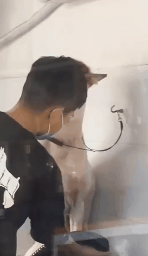 美容师|千万不要相信Tony老师的“创意”,不然…噗哈哈哈