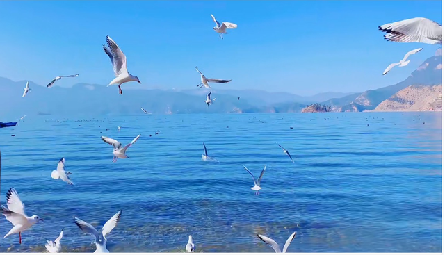 比特币 国家打击比特币,FIL还有希望吗?FIL未来有什么价值?前景如何?