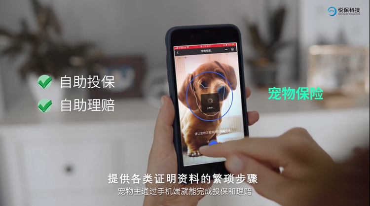 悦保科技|“刷脸”识别即可投保，宠物保险兴起还要多久？