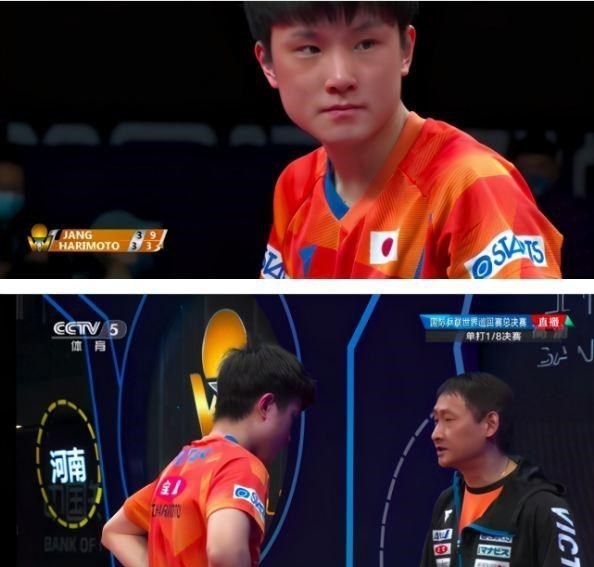 馬龍|他是中國男乒公認的馬龍接班人！不是許昕、不是樊振東啊！