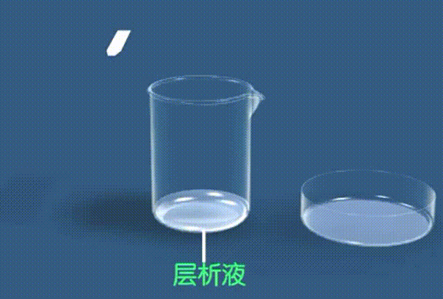  初中生物：中学生物精美动图GIF，边看边学！