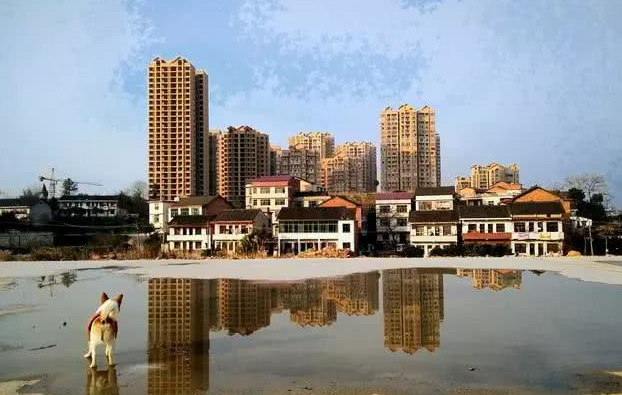 杭州|房地产后市预期，理性看涨