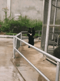 学姐说育儿|“我26了工资才5000多,我是不是废了?”