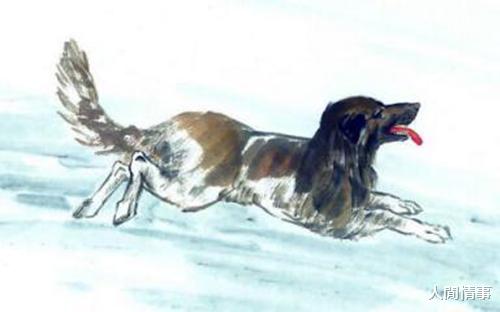 人閒情事|下半年生活不受苦，财运会有所好转，直觉灵敏，人见人爱的生肖