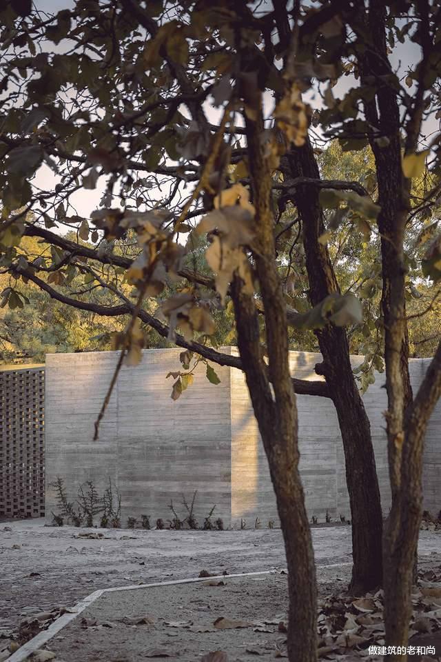 卧室|抽象的几何住宅：顺应场地，隐藏于森林中的乌托邦