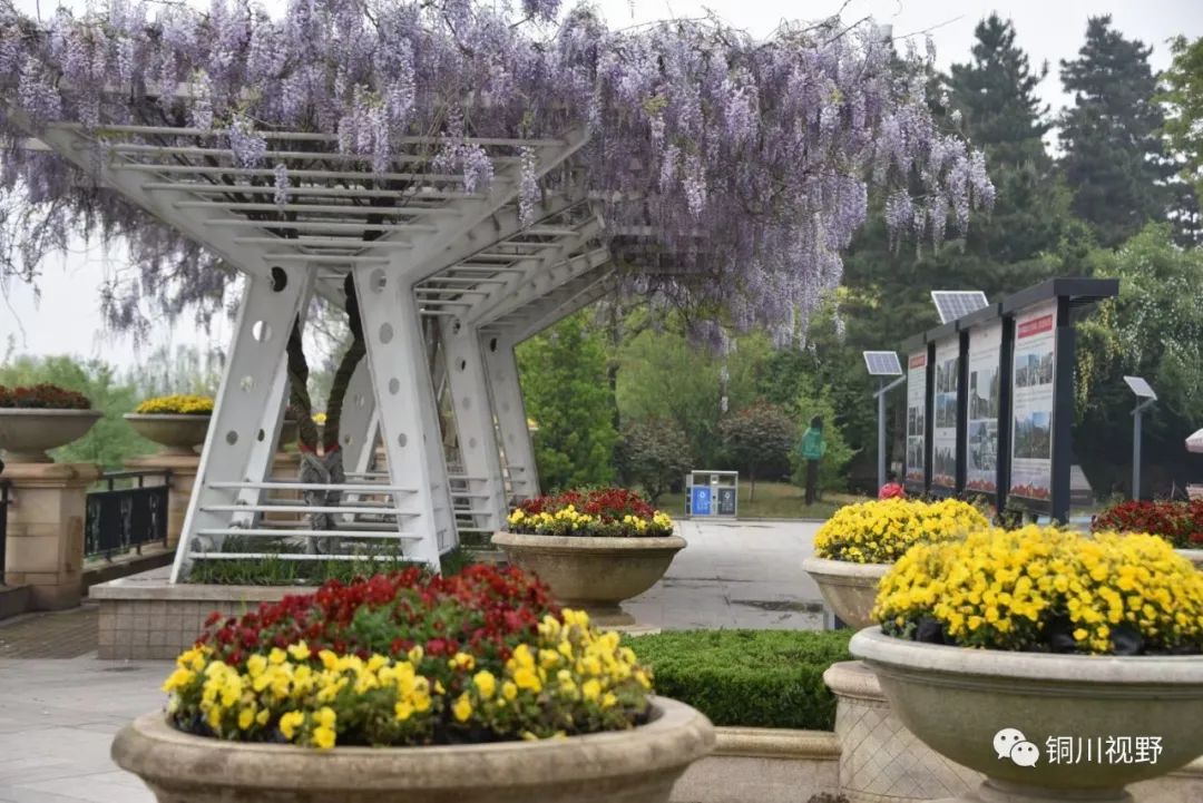 铜川周春辉 五一假期，我们一起爬山，用镜头记录美丽的大自然