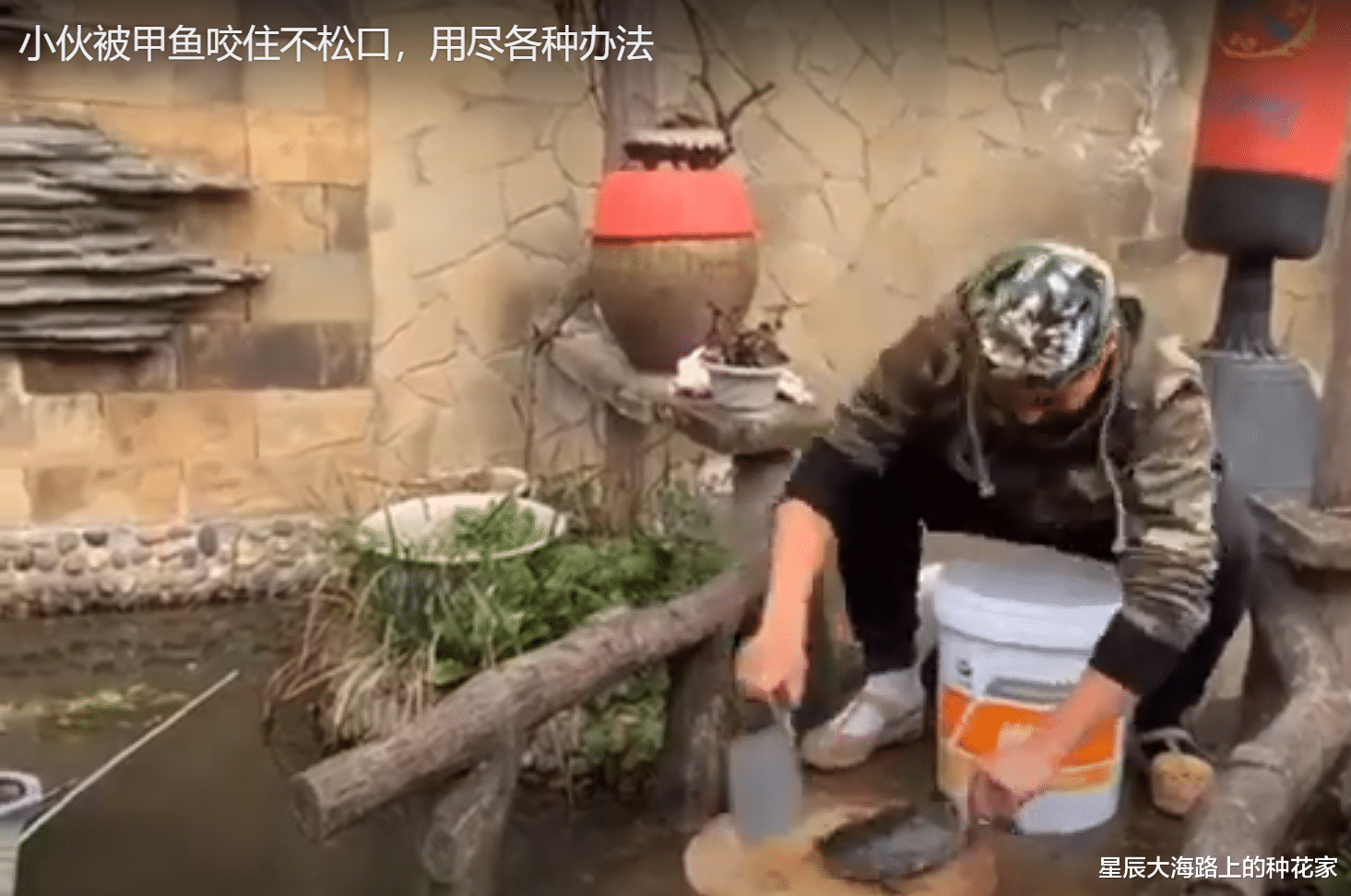 星辰大海路上的种花家 不小心被乌龟咬到，越咬越紧，打死也不松口，怎么办？