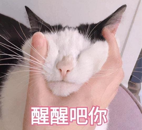 购房置业|当代95后:存钱旅游,买名牌包,买万元显卡,就是不买房不结婚