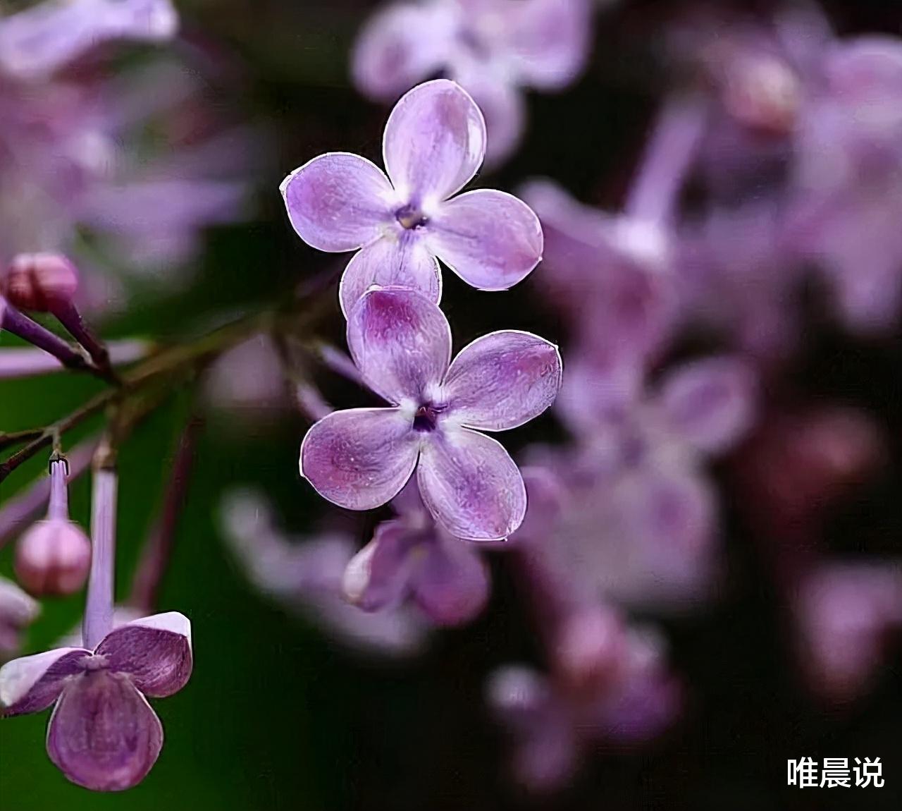 唯晨说 通过细节看一个人的本质，有些现象，还挺准