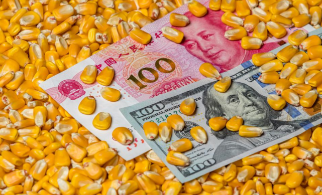 科学家 弯道超车！3位科学家“突破合成淀粉”技术：核聚变或是最后一环！